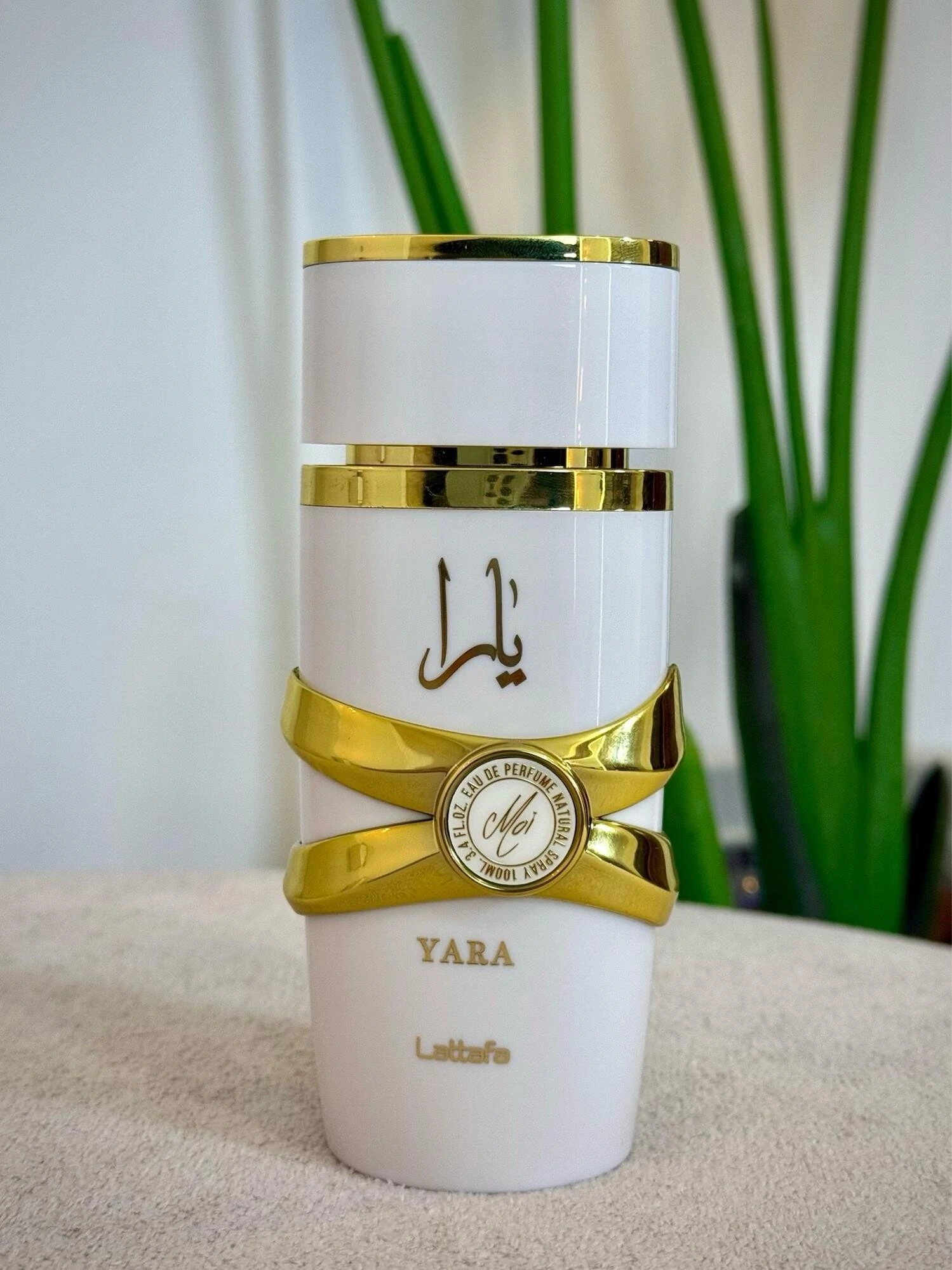 Yara Moi - foto 3